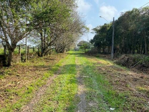 Imagem 2 de 7 de Lote De Chácara Em Itanhaém Com 2214m² Total 7270