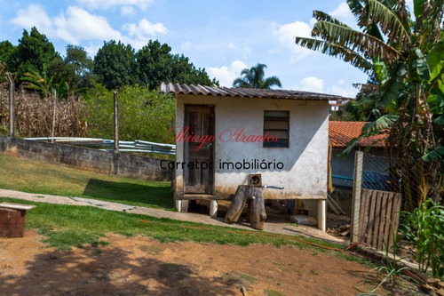Imagem 21 de 30 de Chacara - Ch00162 - 69496468
