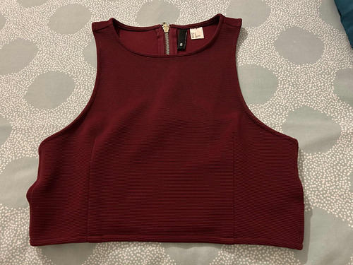 H&m Crop Top