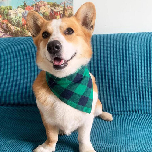 Pañuelo De Navidad Para Perro, Pañuelo Doble Reversible,