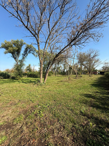 Venta - Lote - Barrio Los Pinos - Exaltación De La Cruz