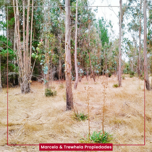 Vendo Terreno Indigena, 3.3 Hectareas, Comuna De Nueva Imper