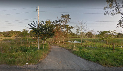 Imagen 4 de 17 de Venta 199 Hectáreas - Para Cultivo Y Ganado