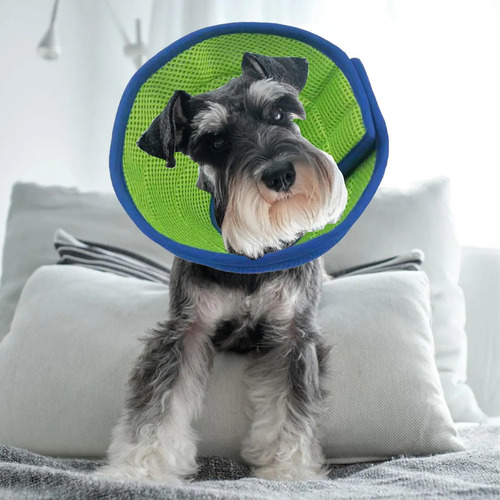 Collar Para Perros Y Gatos Cono De Recuperación Para Gatito