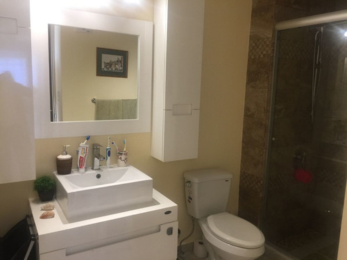 Imagen 6 de 11 de Polanco, Excelente Departamento Muy Amplio Con Pequeña Terra