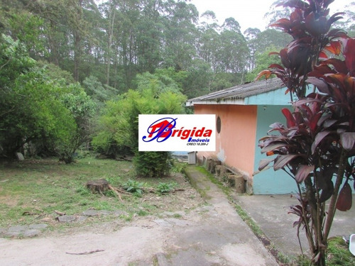 Imagem 1 de 8 de Excelente Terreno!!!!! - Te19