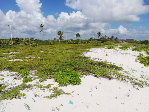 Imagen 11 de 16 de Oportunidad!! Terreno Frente Al Mar Mahahual-rio Indio P2699