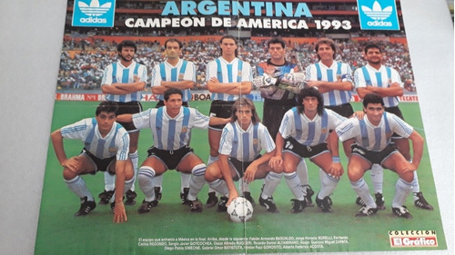 Póster Gigante Argentina Campeón De América 1993