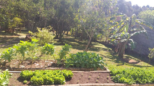 Imagem 13 de 14 de Oportunidade Chácara Ibiúna 1.400 Mts Casa, Pomar Lago