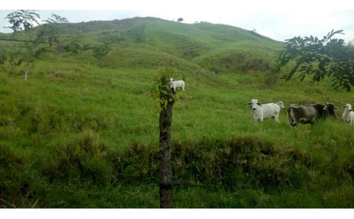 Finca Para Venta En La Esmeralda