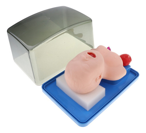 Tubo Modelo De Cánula De Práctica Para Bebés Recién Nacidos