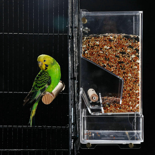 Comedero Para Pájaros Para Jaula Plato De Comida Para