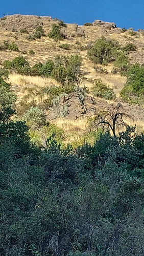 San Jose De Maipo (74085)