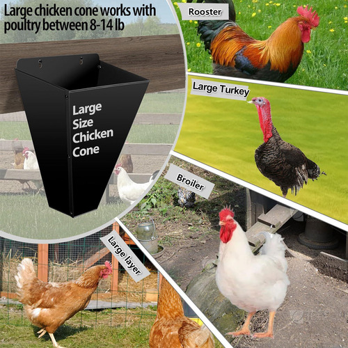 Cono De Pollo Cono De Aves De Corral Embudo De Restricción D