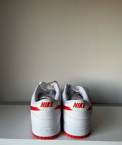 Zapatillas Nike Dunk Low (Usado)