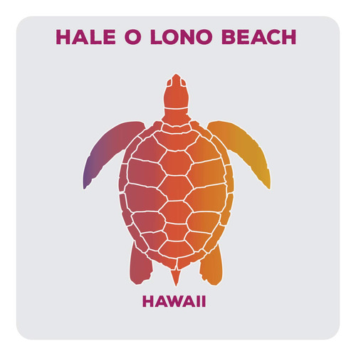 Hale O Lono Playa Recuerdo Hawai Posavaso Acrilico 4 Diseño