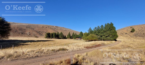 Campo Estancia En Venta De 5300 Has En Patagonia Bariloche.