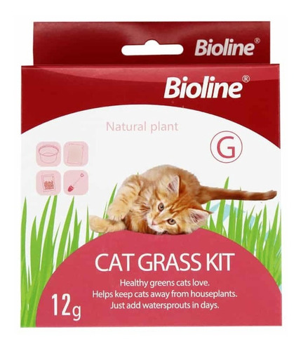 Kit Completo Pasto Para Gatos, Hierba Gatera, Bioline