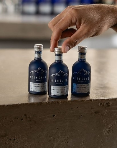 Gin Aconcagua Handcrafted London Dry Edición Miniatura 50ml