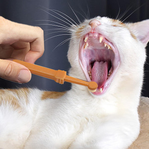 Kit De Limpieza De Dientes De Perro 2 Piezas De Eliminación