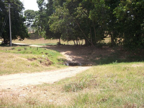 Rancho Ganadero En Venta En La Concordia, Chiapas.
