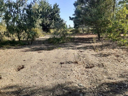 Imagen 17 de 19 de Terreno De 9 Ha En Ñiquen
