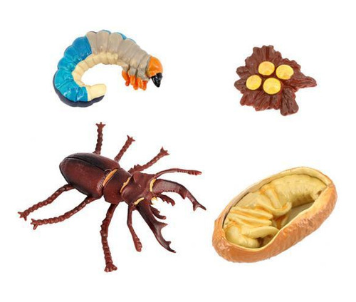 2 Conjunto De Modelos De Ciclo De Vida De Insecto