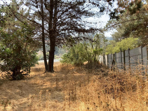 Imagen 2 de 5 de Paño Comercial En Los Pinos, Reñaca