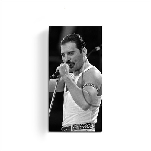 Cuadro Moderno Freddie Mercury Cantante Queen Musica Pop +
