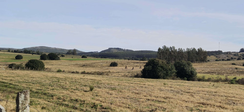 Venta 262 Hectareas Pueblo Eden