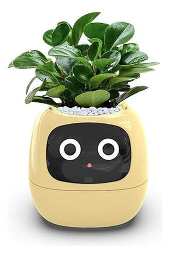 Macetas Inteligentes, Maceta Inteligente For Plantas De
