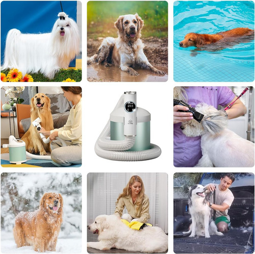 Secadora Profesional Perros Con Mango Operación Inteligente
