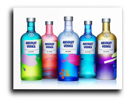 Cuadro Decorativo Canvas Recamara 50x60 Vodka Colores