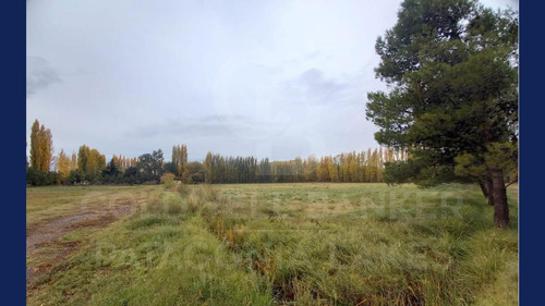 Imagen 2 de 14 de Venta Terreno Excelente Fracción De 4,5 Has Ideal Loteo/desarrollo Valentina Norte Rural Neuquén