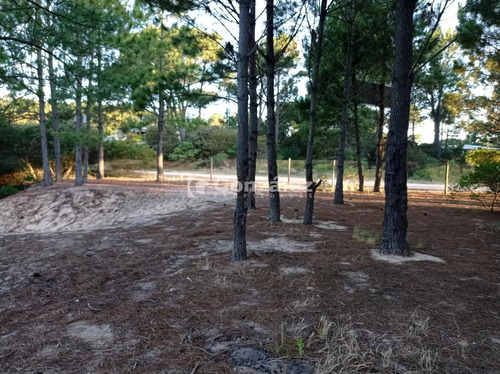 Terreno De Grandes Dimensiones Con Costa Arroyo En Chihuahua