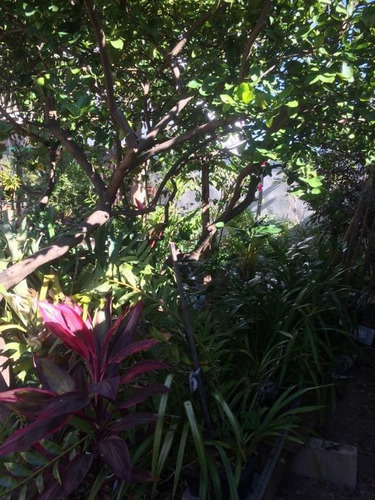 Imagem 25 de 30 de Casa Com 3 Dormitórios À Venda, 190 M² Por R$ 800.000 - Jardim Ribeiro - Valinhos/sp - Ca0390