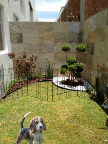 Valla Para Perros Expandible De 50cm De Alto 6mt De Largo