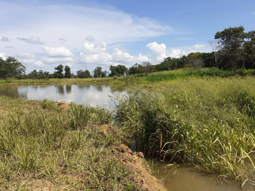 Imagen 15 de 15 de Finca En Venta, San Mateo, Anzoategui