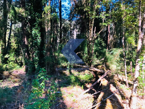 Terreno En Venta En Cisnes