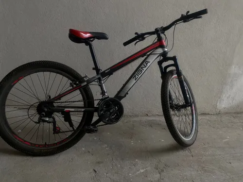 Bicicleta de Montaña Zigna Bolt 24 Negra