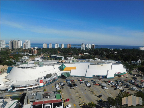 Imagen 14 de 30 de Sobre Avenida Roosevelt