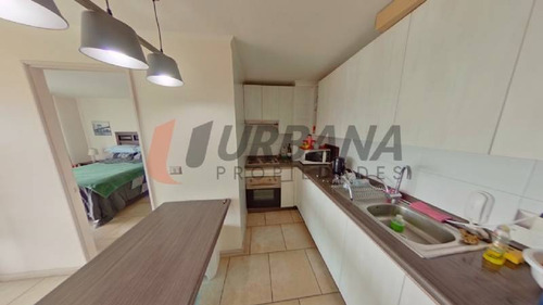 Imagen 11 de 16 de Serena Pacífico Arriendo Marzo A Diciembre La Serena