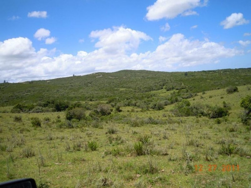 Campo En Venta En Garzón Rural