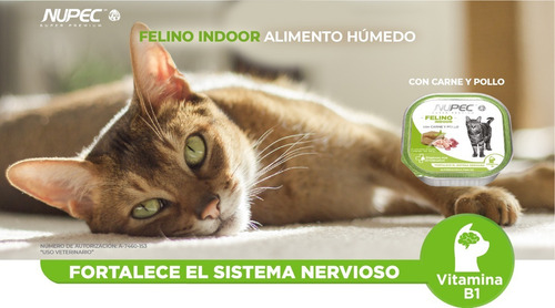 Nupec Felino Indoor Alimento Húmedo Pack 4 Latas De 100 G