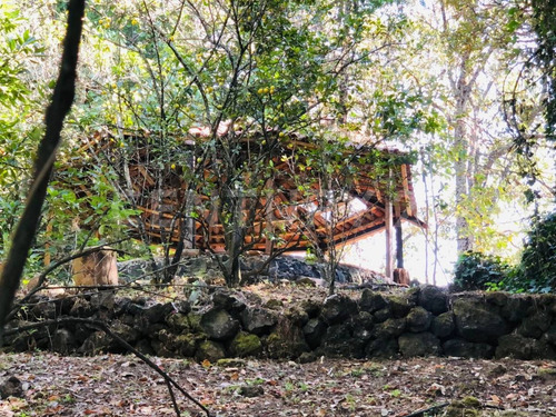 Terreno Venta Cocuatla Tepoztlan San Juan Tlacotenco Ocotes Tepoztlan Morelos