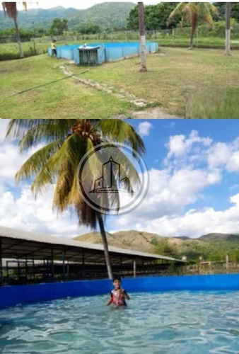 Imagen 4 de 5 de Granja Avicola En Vente En San Francisco De Asis 020jsc