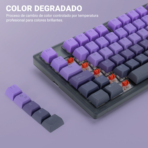 TERPORT 95 Keycaps PBT Español Latino Morado Degradado para Teclados Mecánicos, PBT Teclas de Doble Inyección , Altura MDA Ergonómica, 95 Teclas PBT TR95