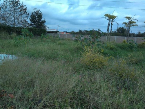 Imagen 4 de 10 de Terreno En Venta Villa Emiliano Zapata