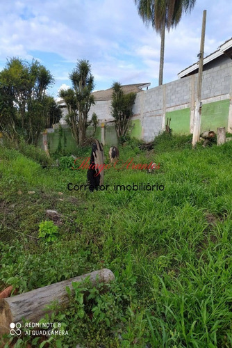 Imagem 20 de 30 de Chacara - Ch00184 - 69551282