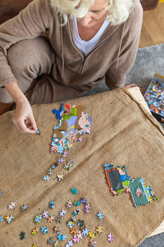 Puzzle Jumbo 2500 4